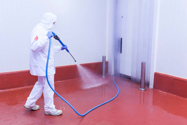 Best Dumpster Area Cleaning  in Rigby, ID
